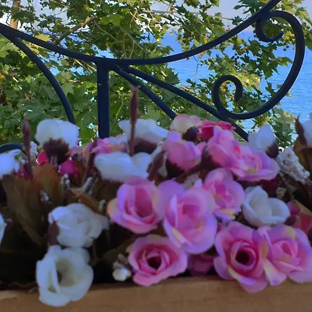 майстор костадин - 1878 Gasthof 3*