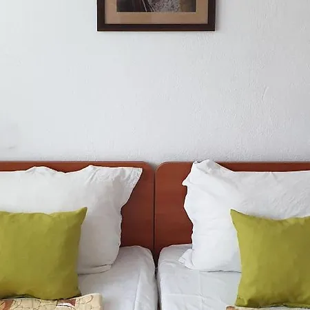 майстор костадин - 1878 Обзор