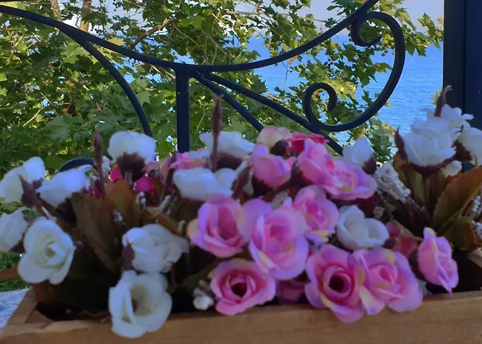 майстор костадин - 1878 게스트하우스 3*